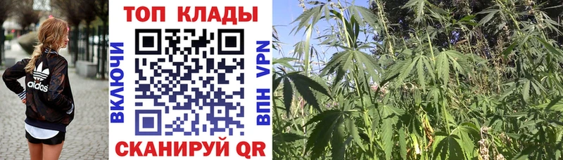 Где купить наркотики Ардатов КОКАИН  Марихуана  МЕФ  Метамфетамин  АМФ  ссылка на мегу ТОР  А ПВП  ГАШИШ 