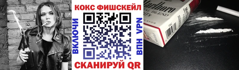 COCAIN FishScale  сколько стоит  MEGA вход  Ардатов 
