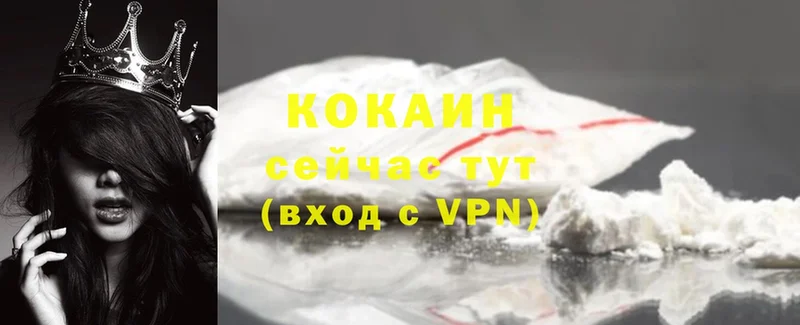 Cocaine Fish Scale  площадка официальный сайт  Ардатов  даркнет сайт 