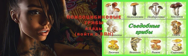 кокс Ростов