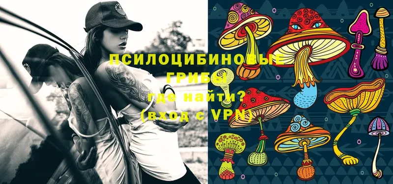 Галлюциногенные грибы Magic Shrooms  Ардатов 